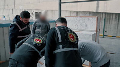  Sigara Kaçakçılığı, Yasaklı Bitki