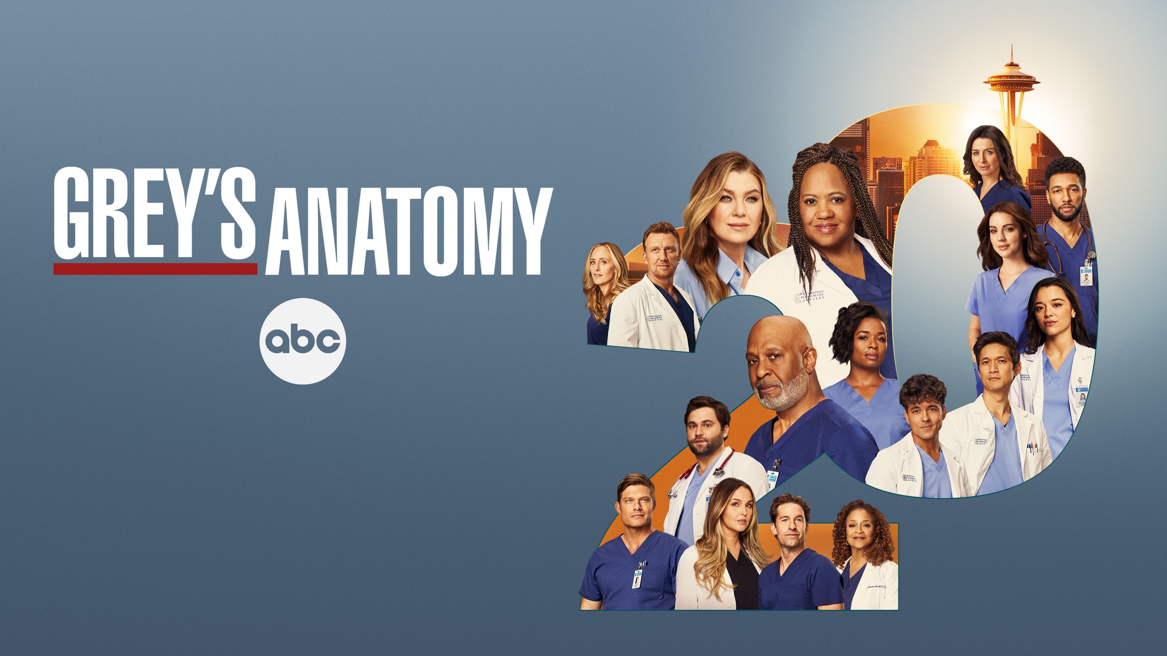 Grey's Hvide Verden - Season 17