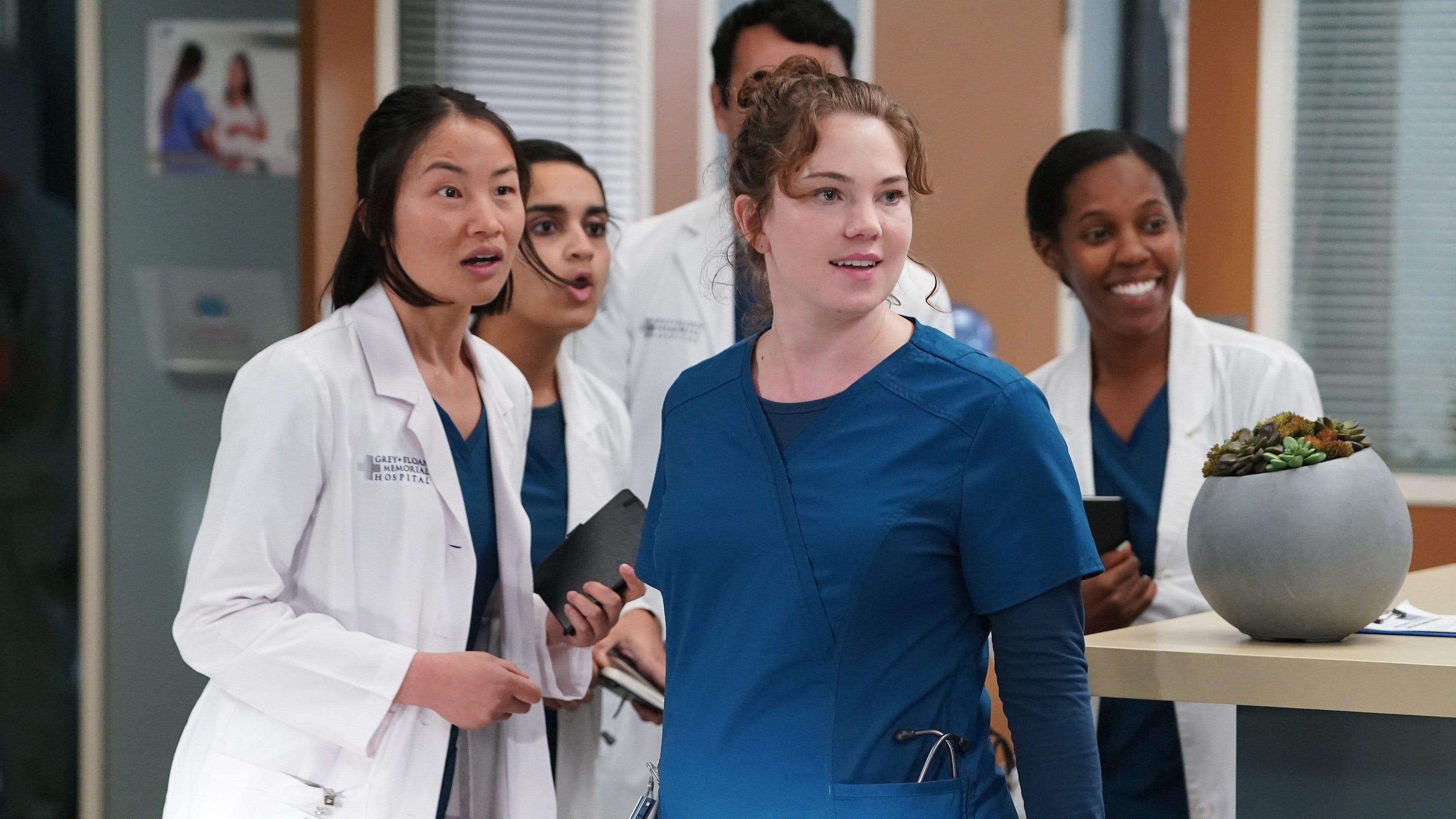Grey's Anatomy Season 19 :Episode 11  Training Day