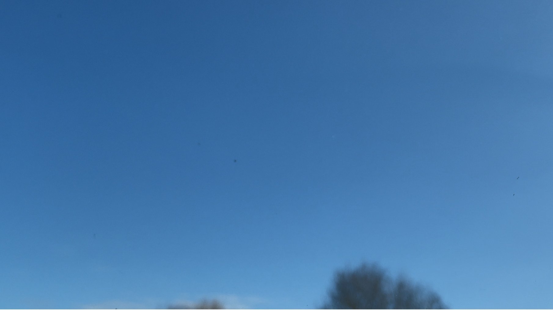 The Soft Blue