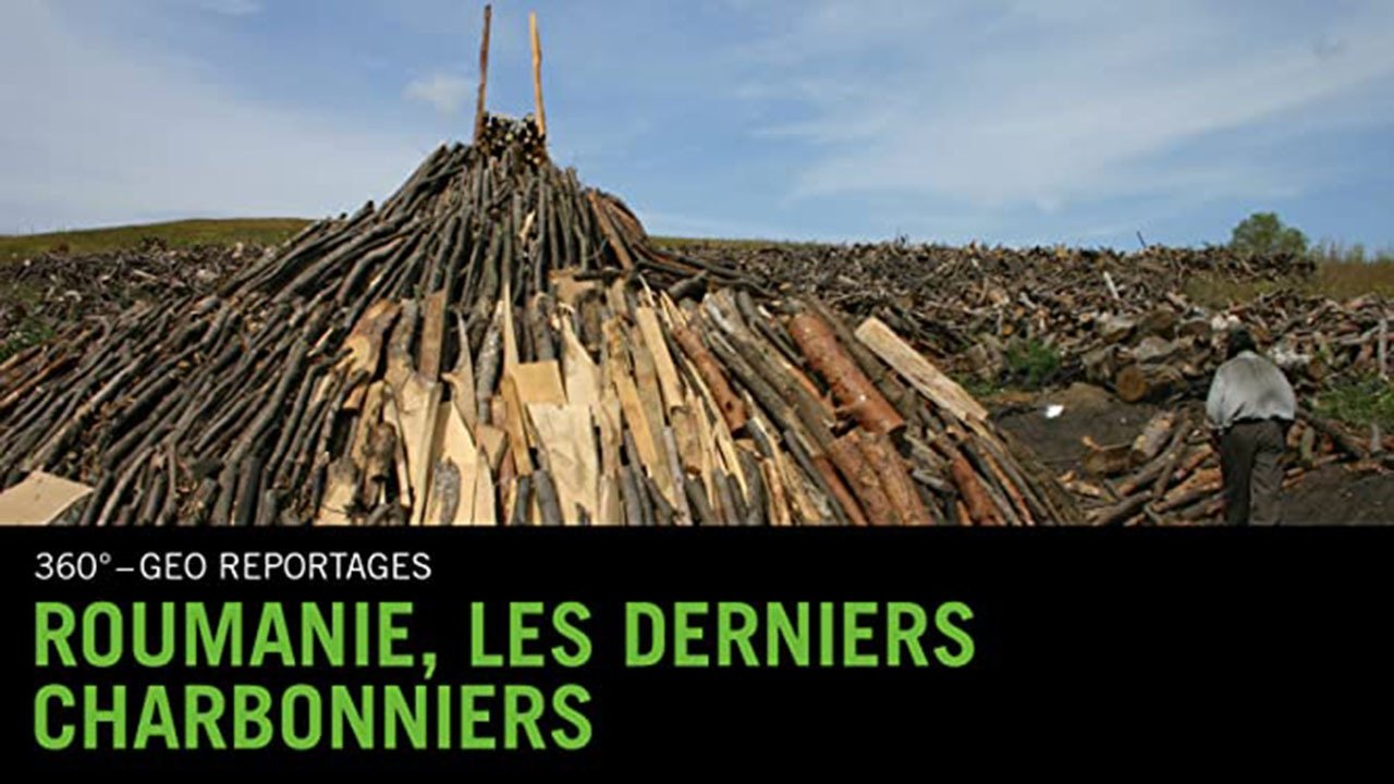 Roumanie, les derniers charbonniers (2013)