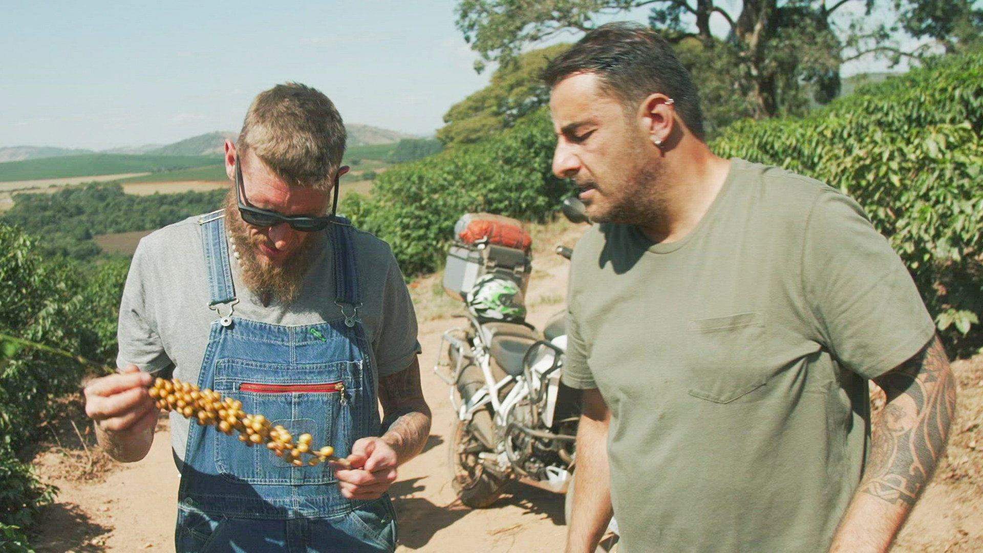 Caffeinated Moonshine still