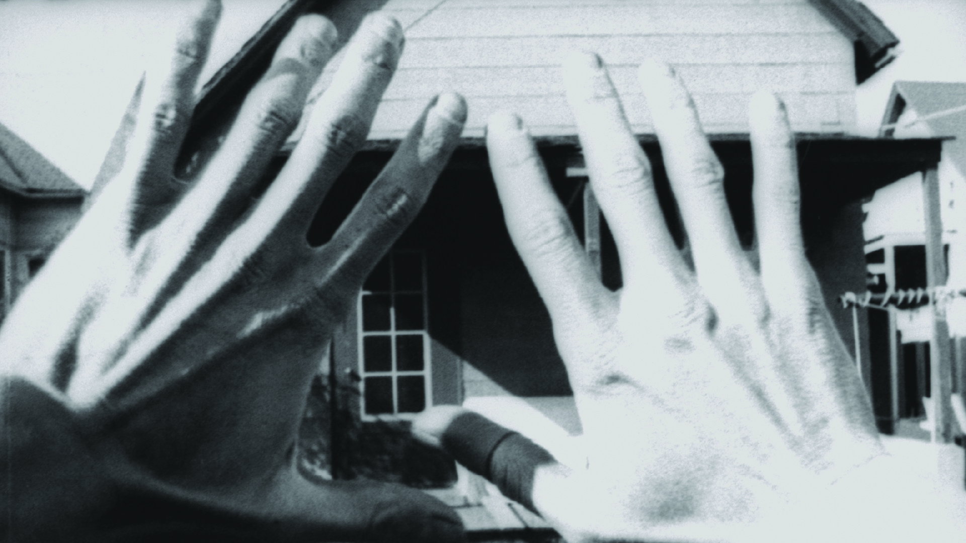 Cats-Snow-Magic backdrop