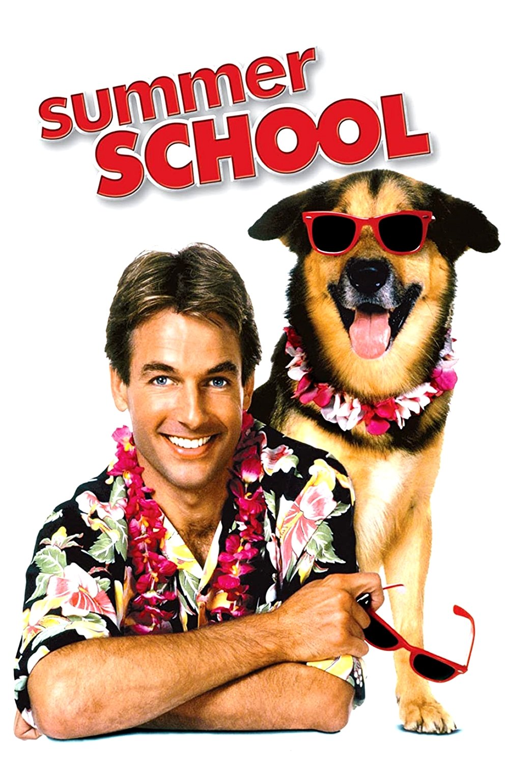 Summer School