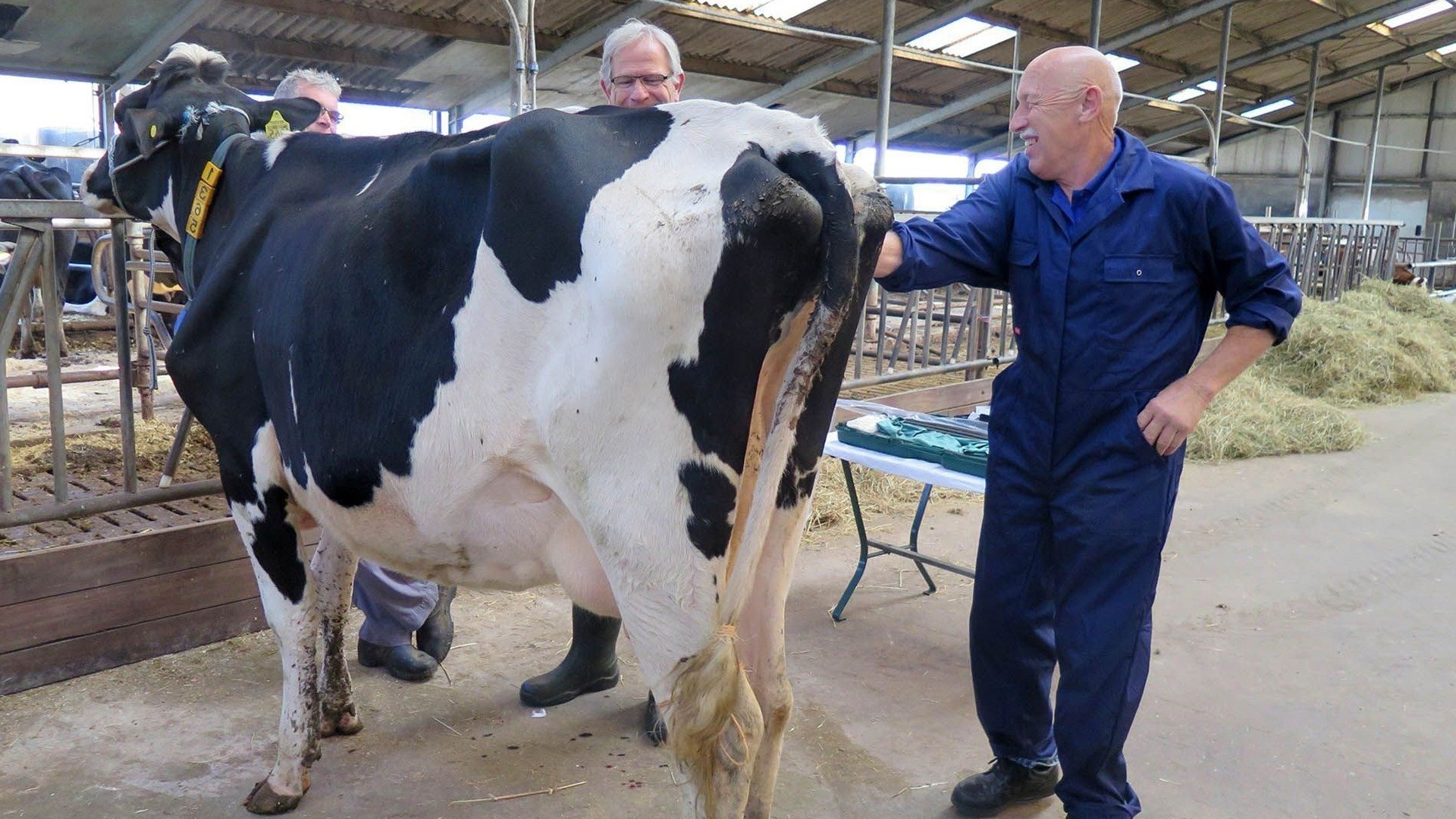 The Incredible Dr. Pol