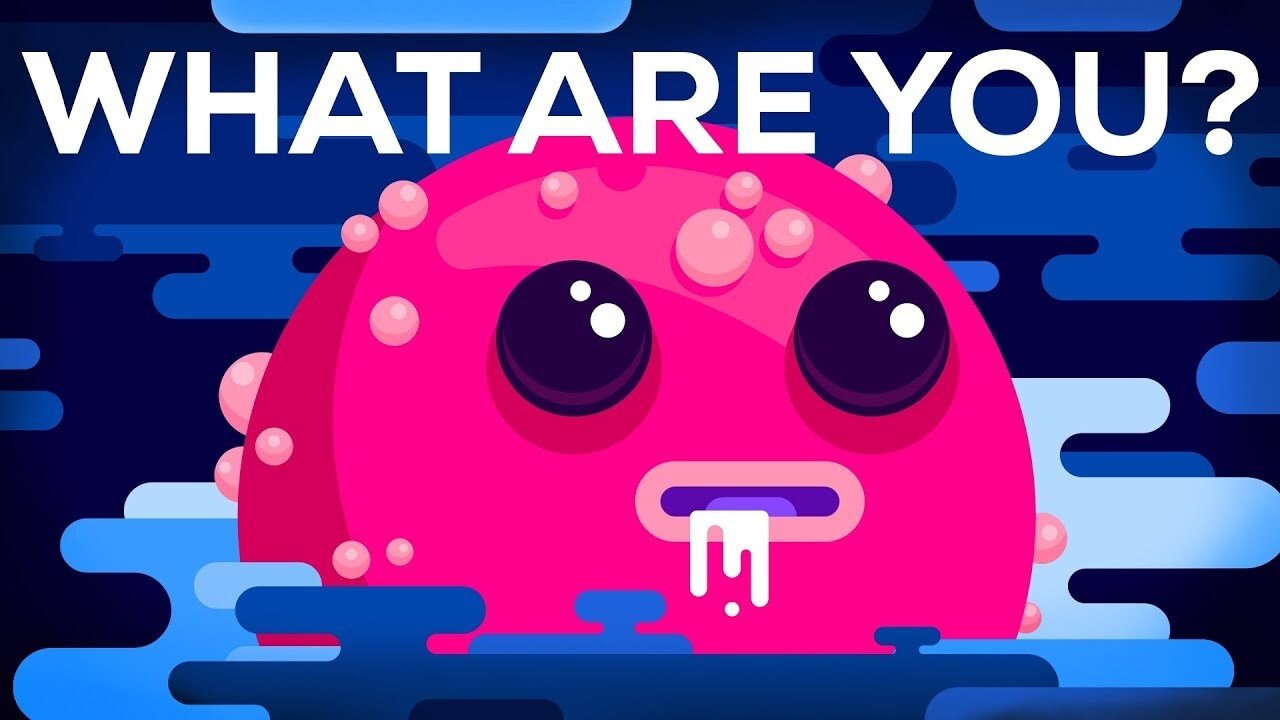 Kurzgesagt - In a Nutshell