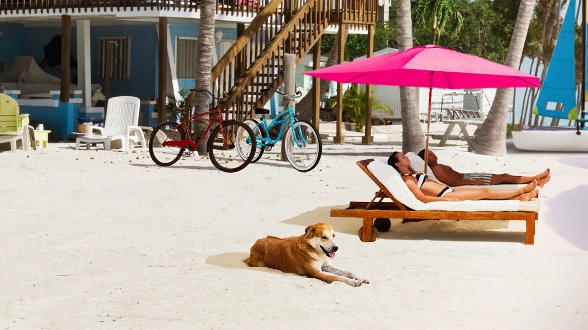 Beachfront Bargain Hunt