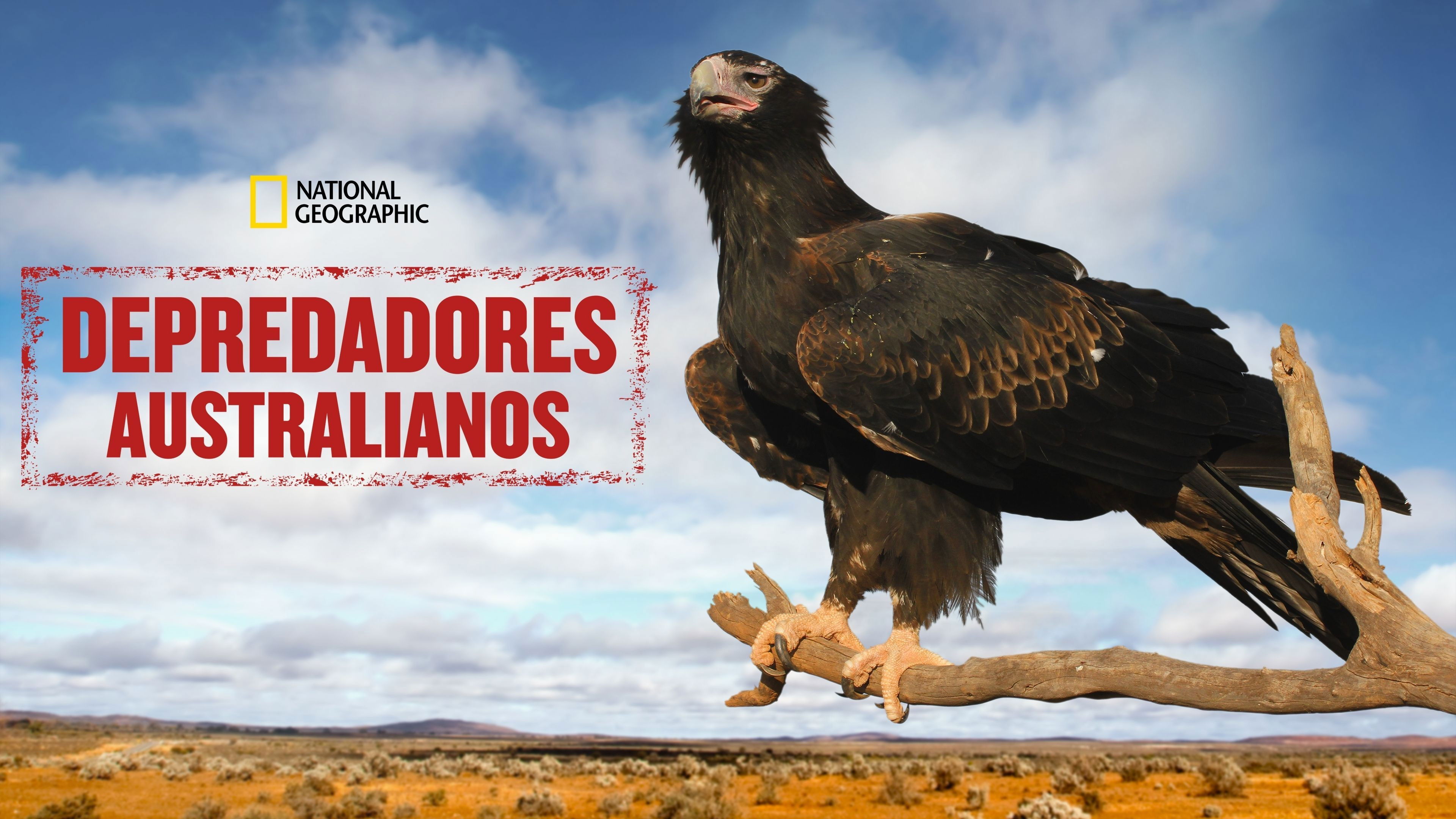 Australia's Deadly Monsters - Season 1