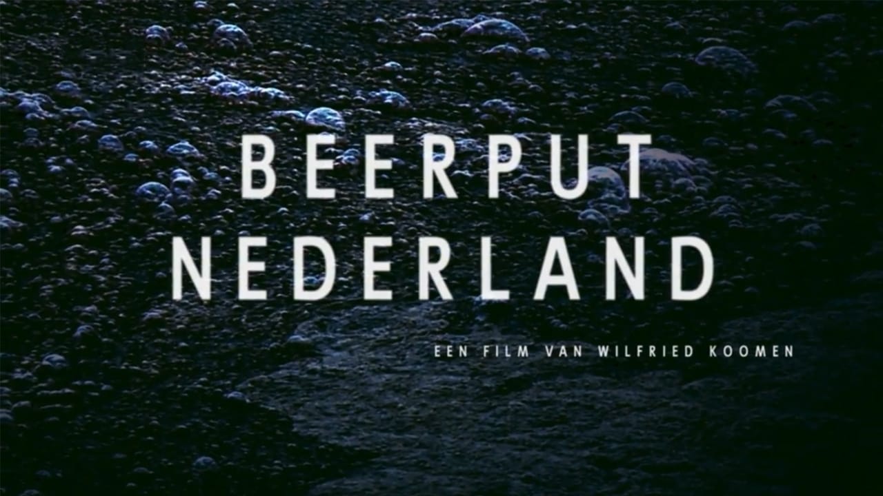 Beerput Nederland (2017)