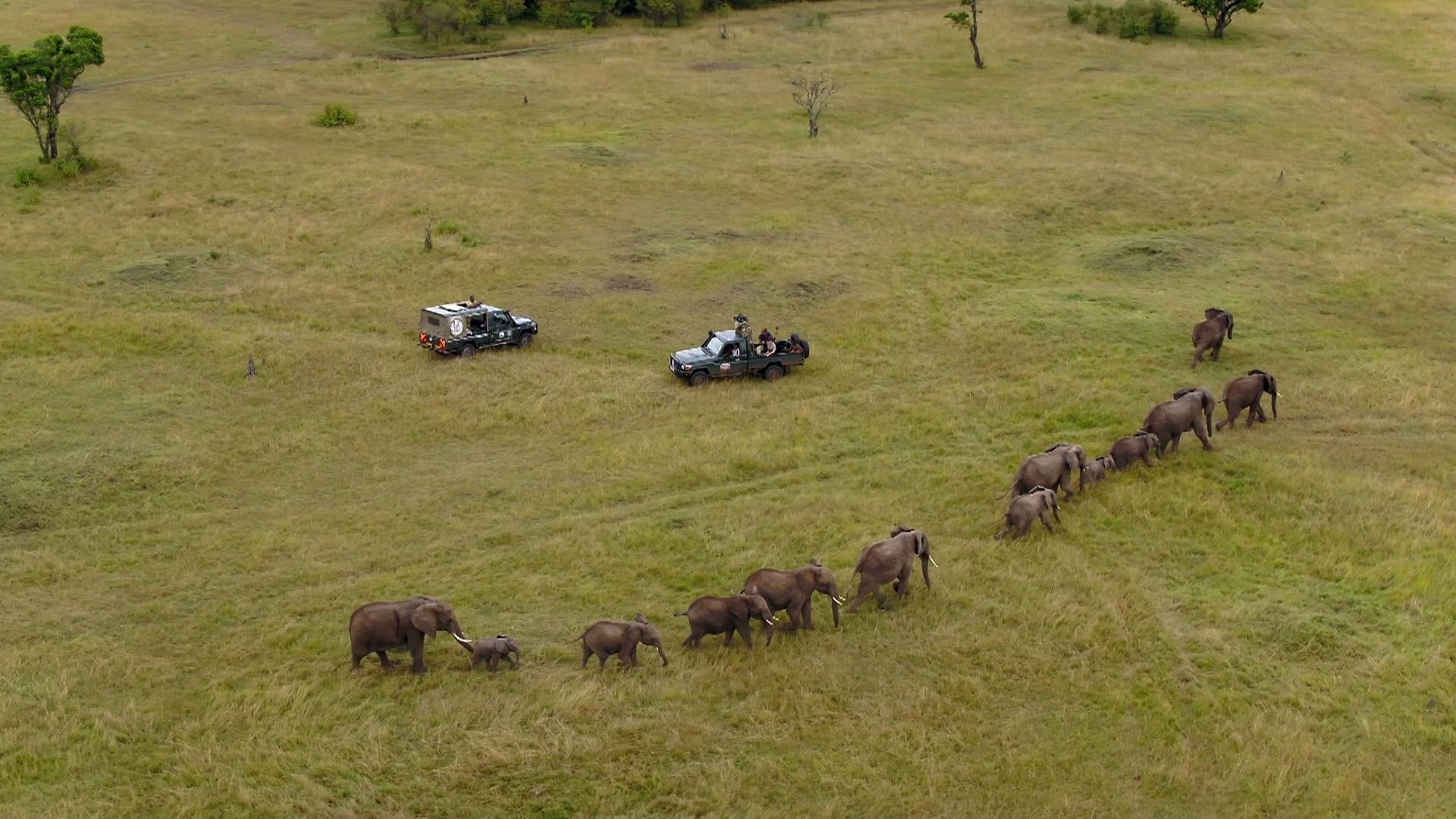 Thumbnail for Africa Season 1 Episode 1