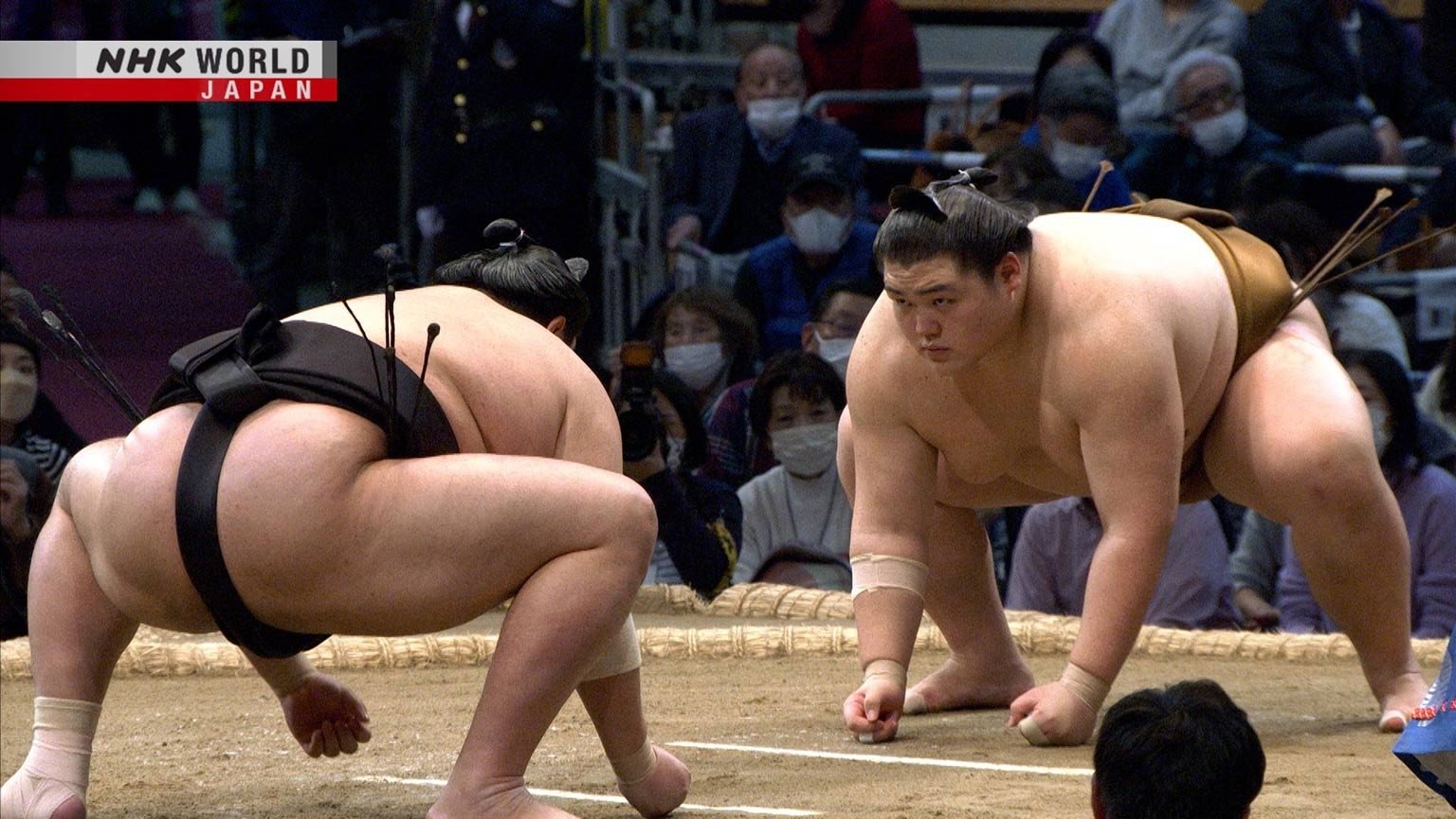 GRAND SUMO Highlights Staffel 14 :Folge 11 