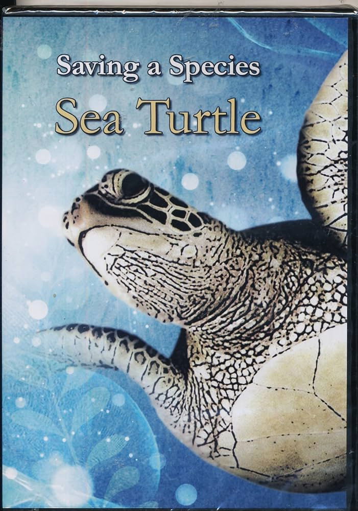 Saving a Species: Sea Turtle