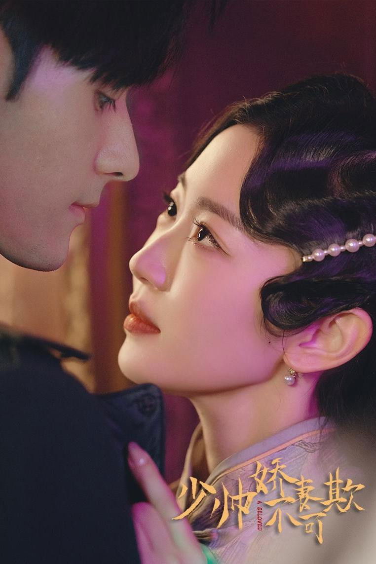 少帅娇妻不可欺