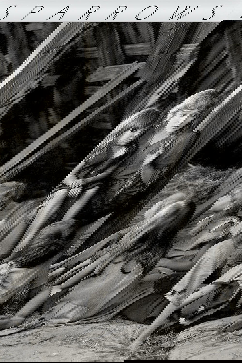 Sparrows