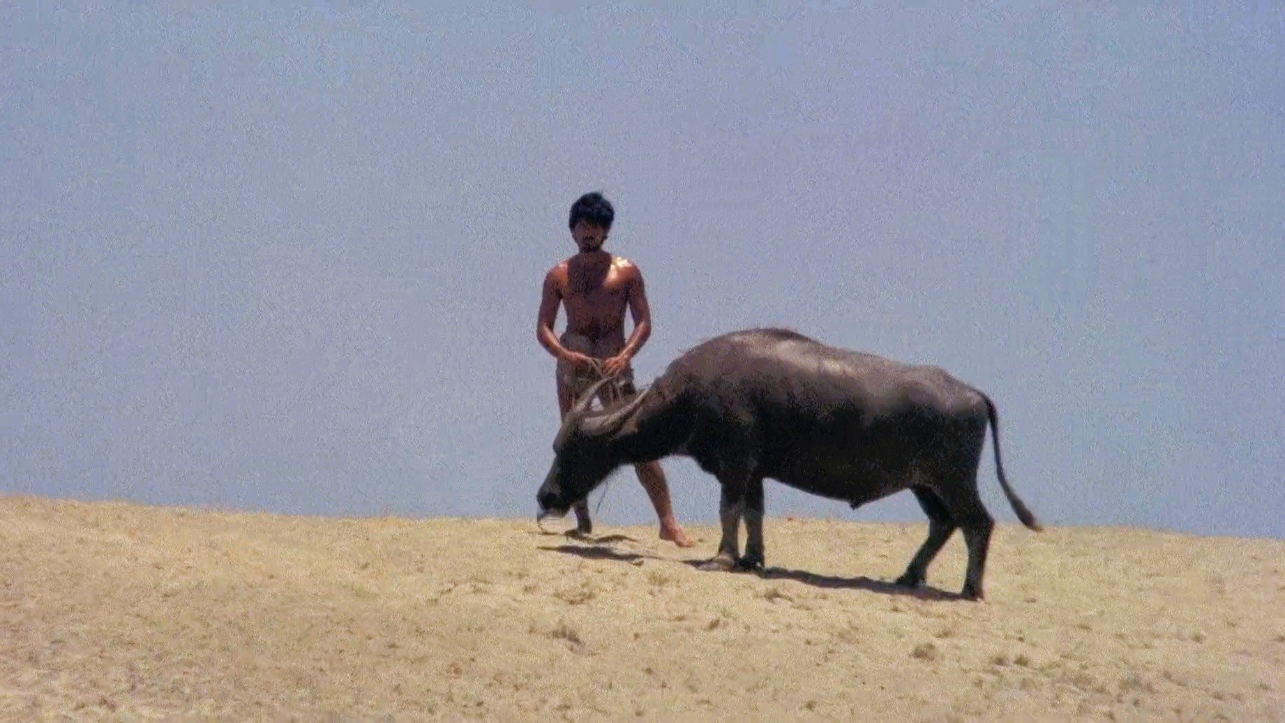 Daughters of Eve (1985)
