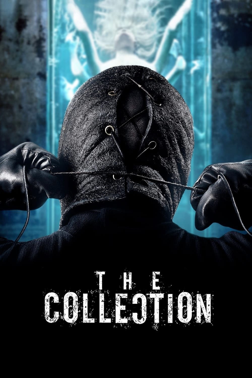 The Collection