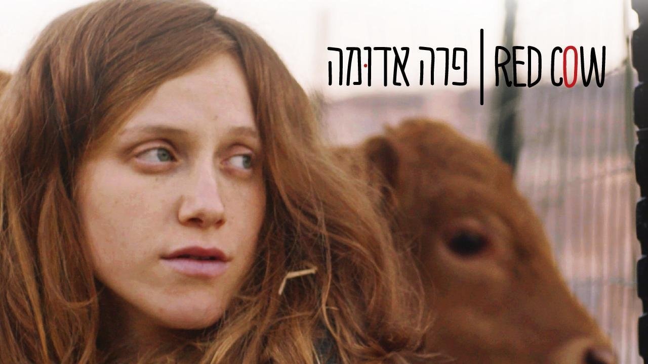 Red Cow (2018)