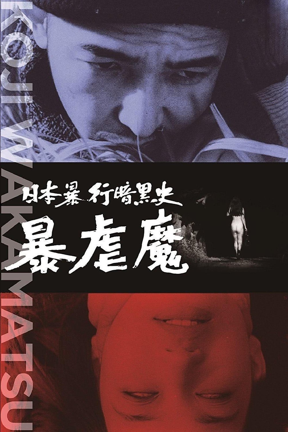 Dark Story of a Japanese Rapist