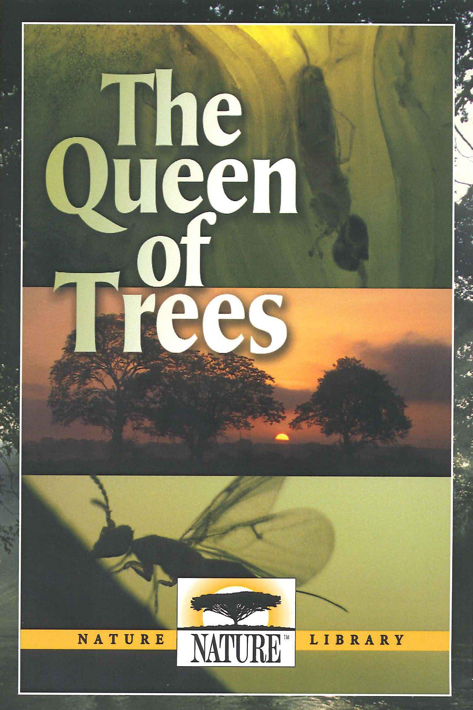 The Queen of Trees