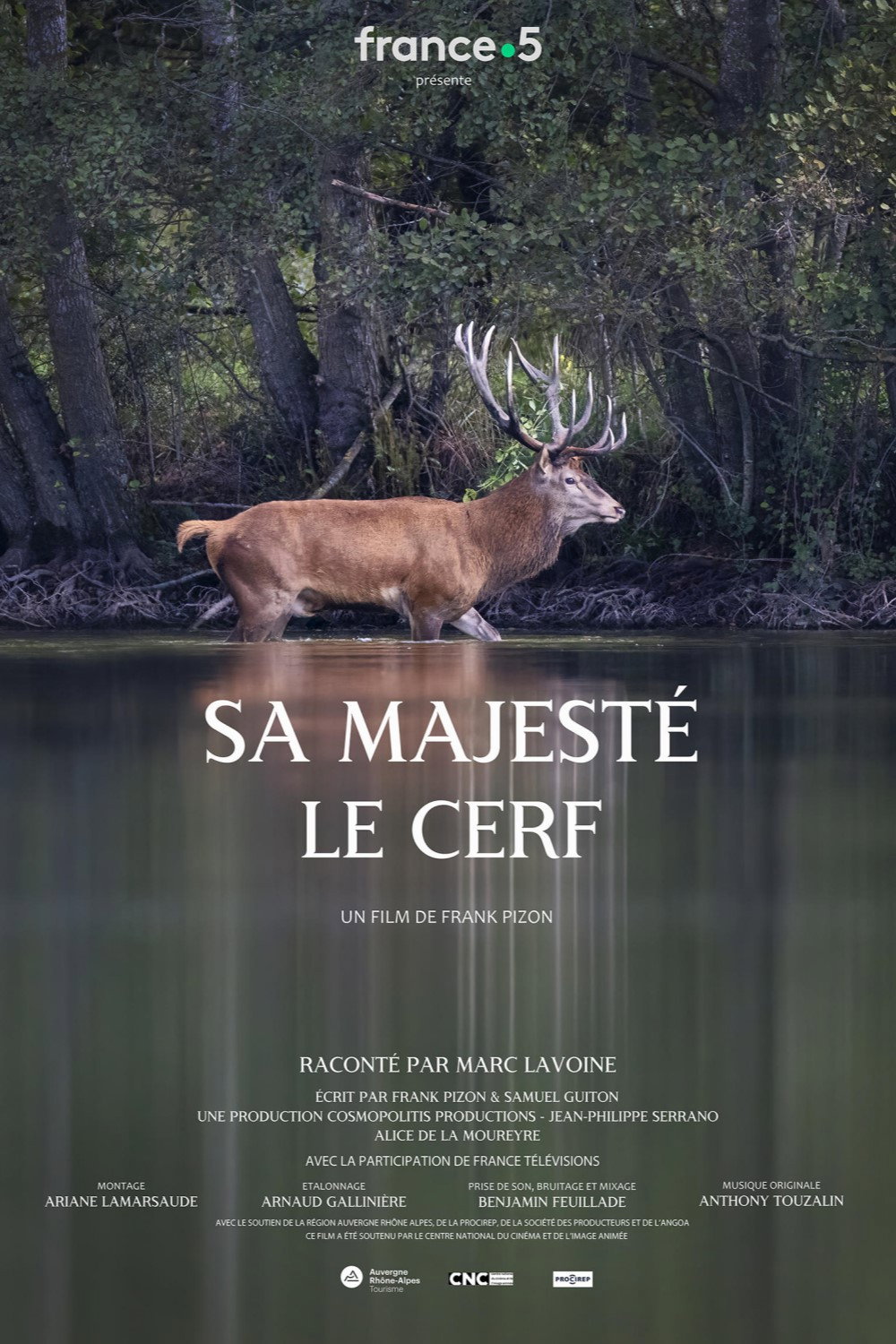 Sa majest&eacute; le cerf