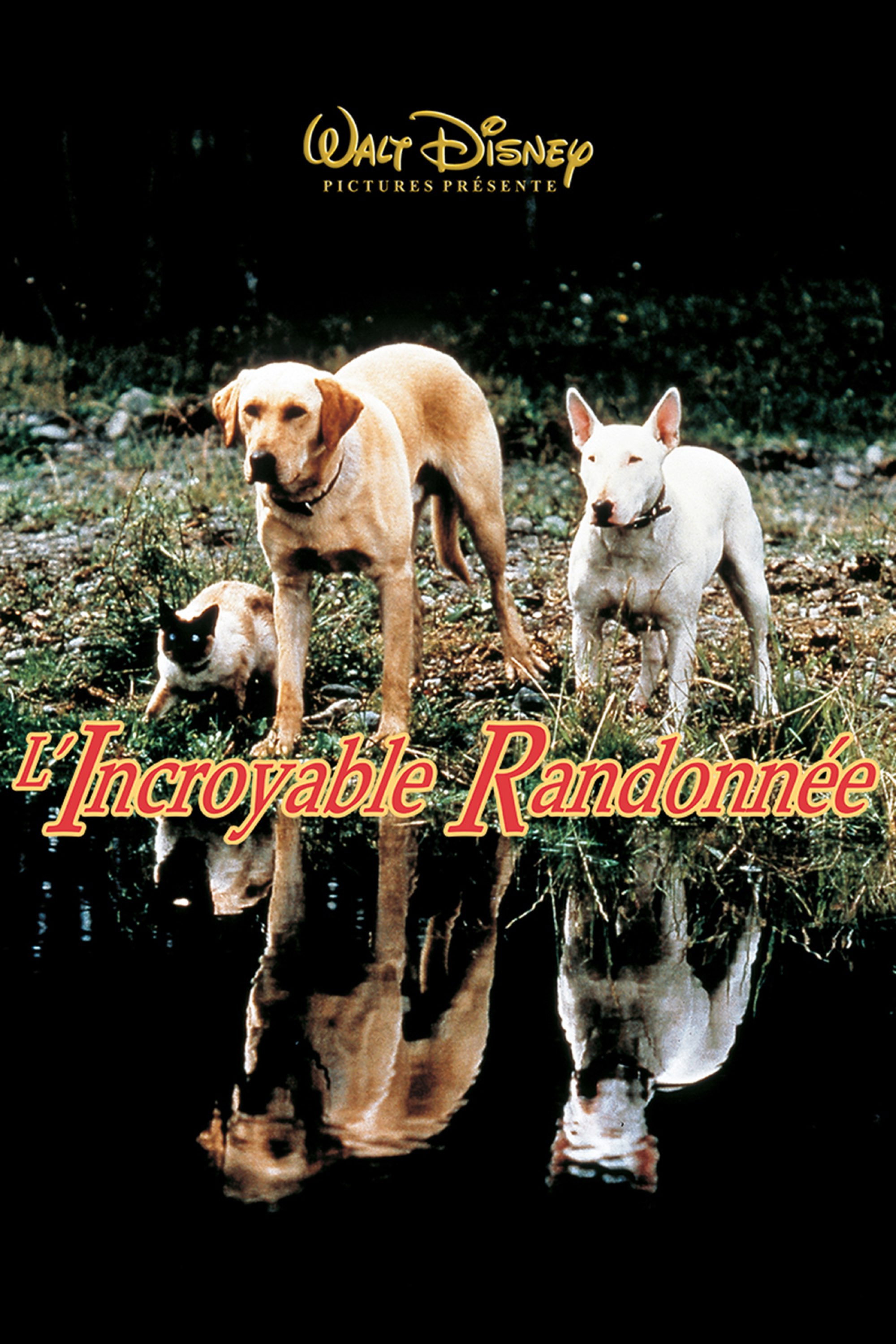 L'incroyable randonnée