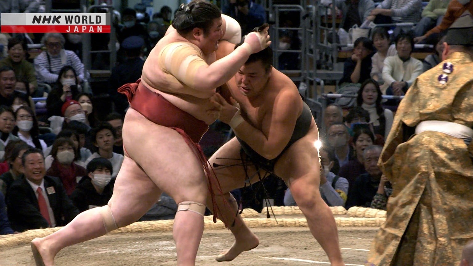 GRAND SUMO Highlights Staffel 20 :Folge 14 