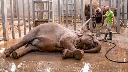 Expédition Pairi Daiza - Épisode 5