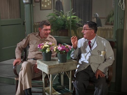 The Andy Griffith Show