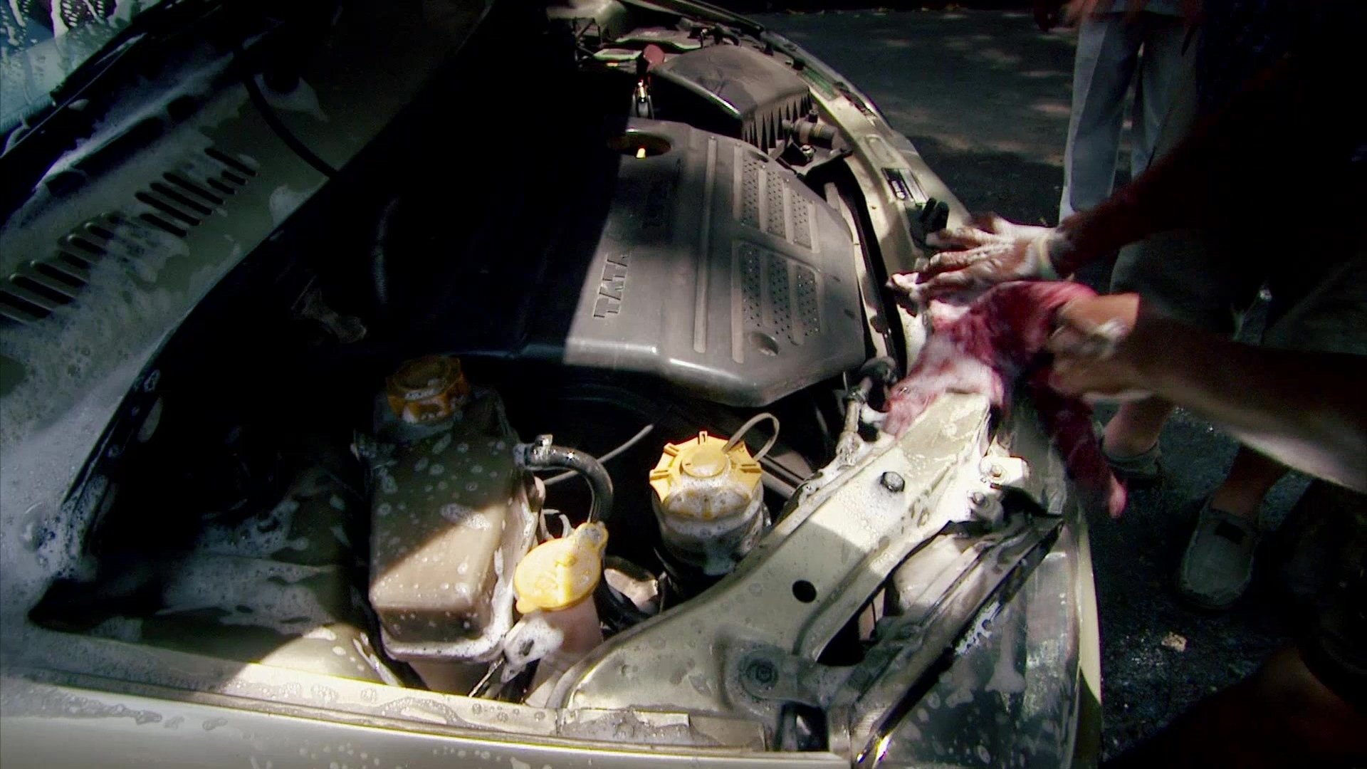Wheeler Dealers Trading Up