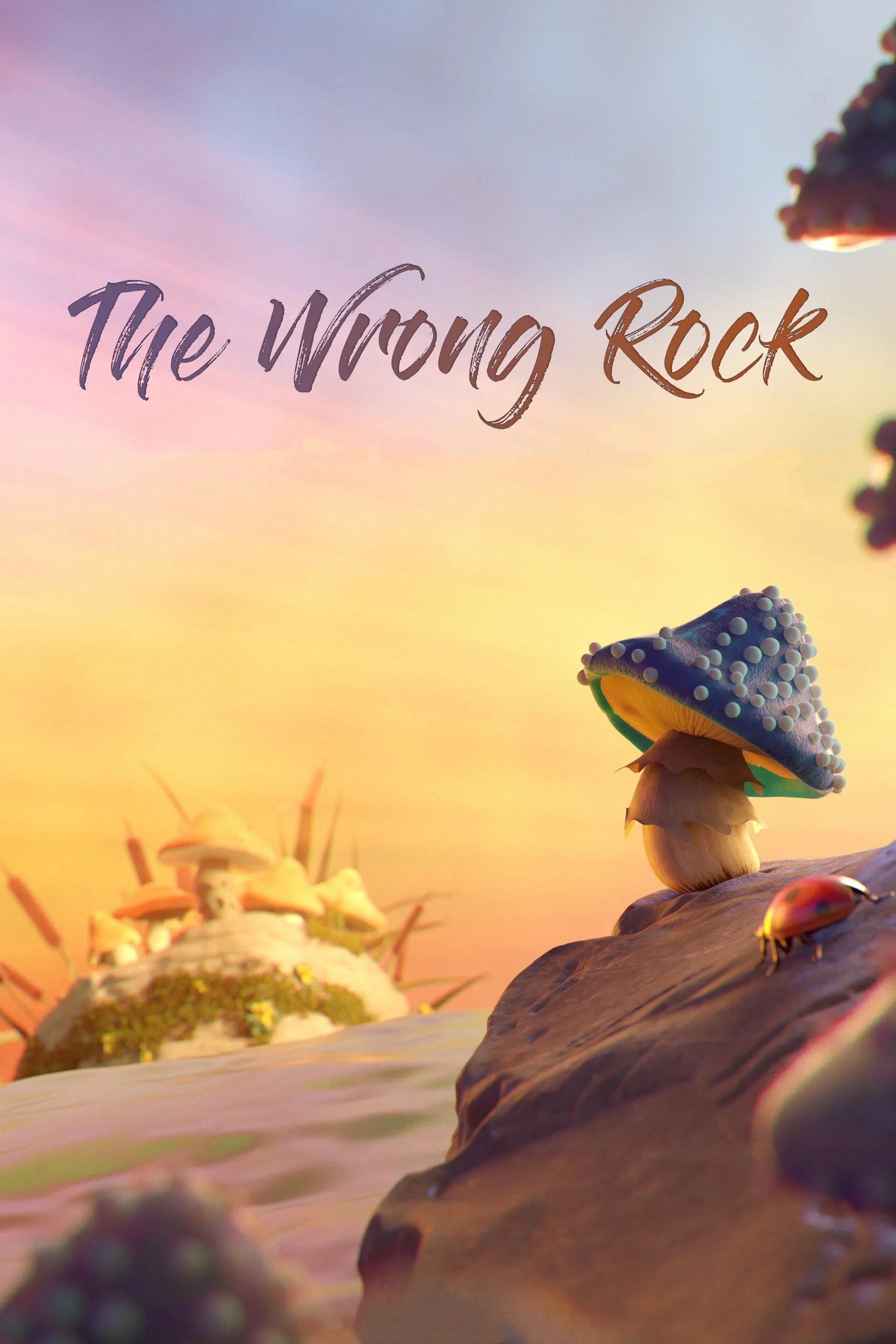 The Wrong Rock