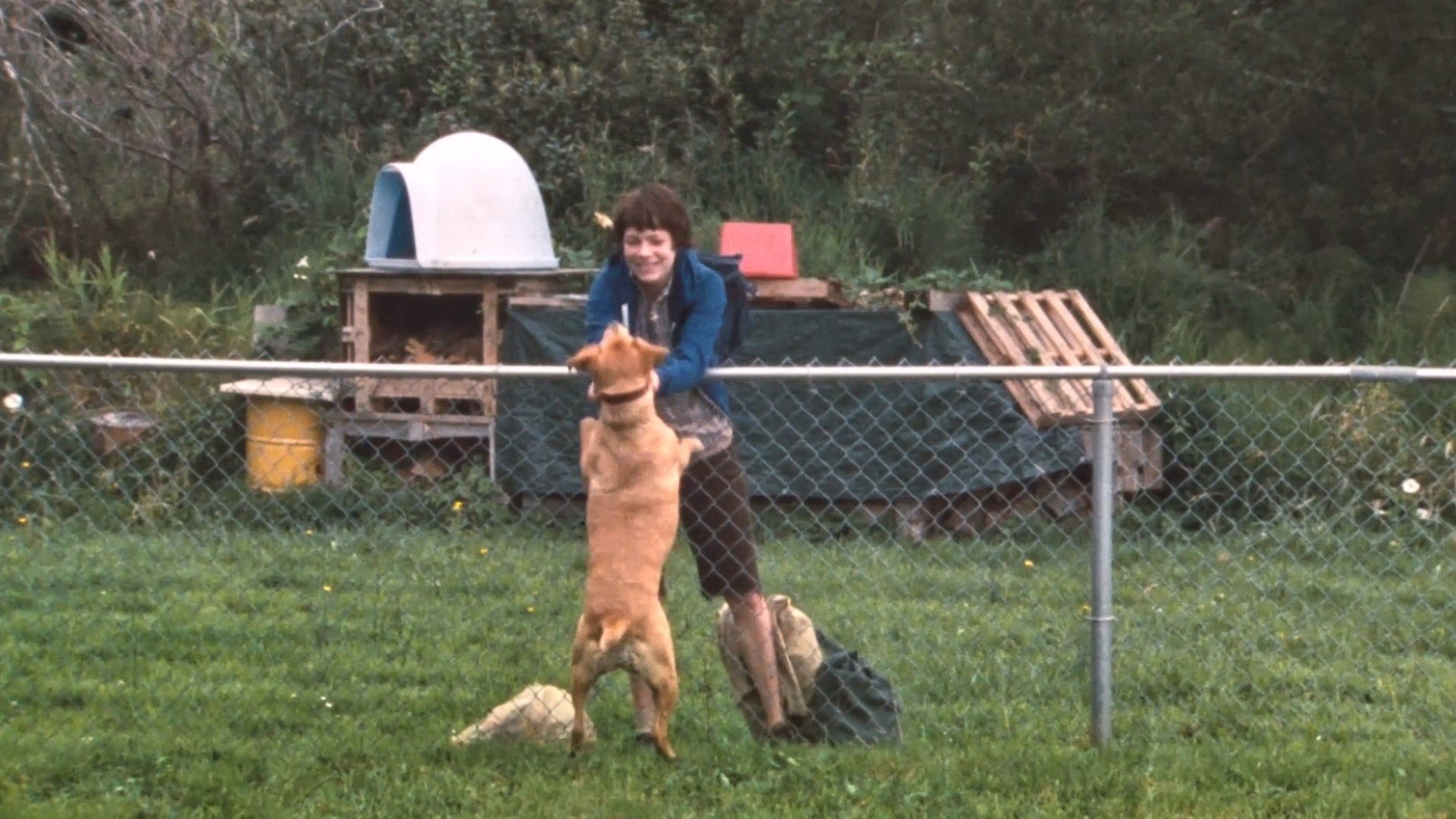 Wendy and Lucy