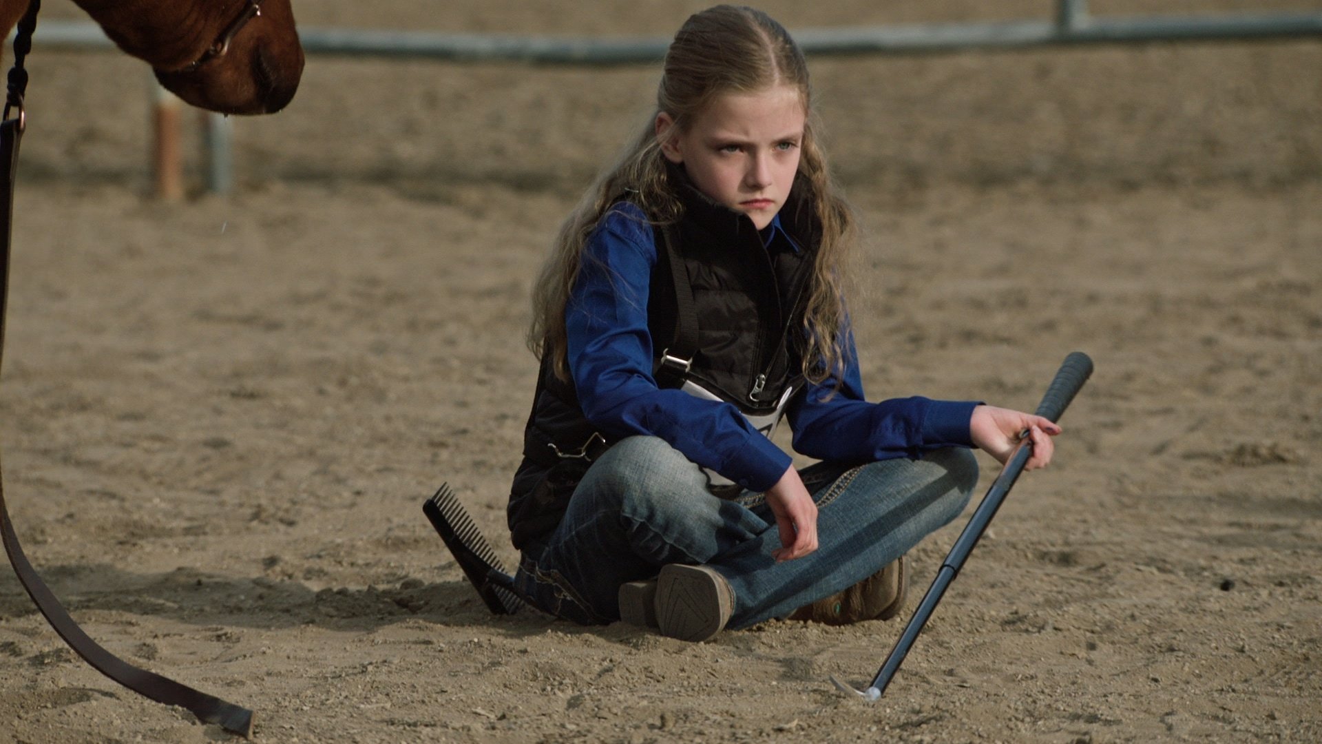 Heartland 19x2