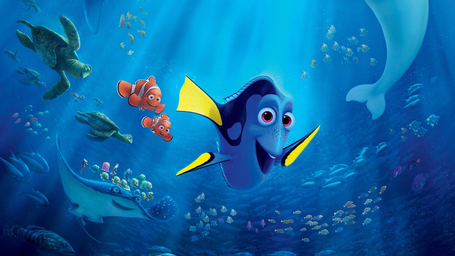 Find Dory