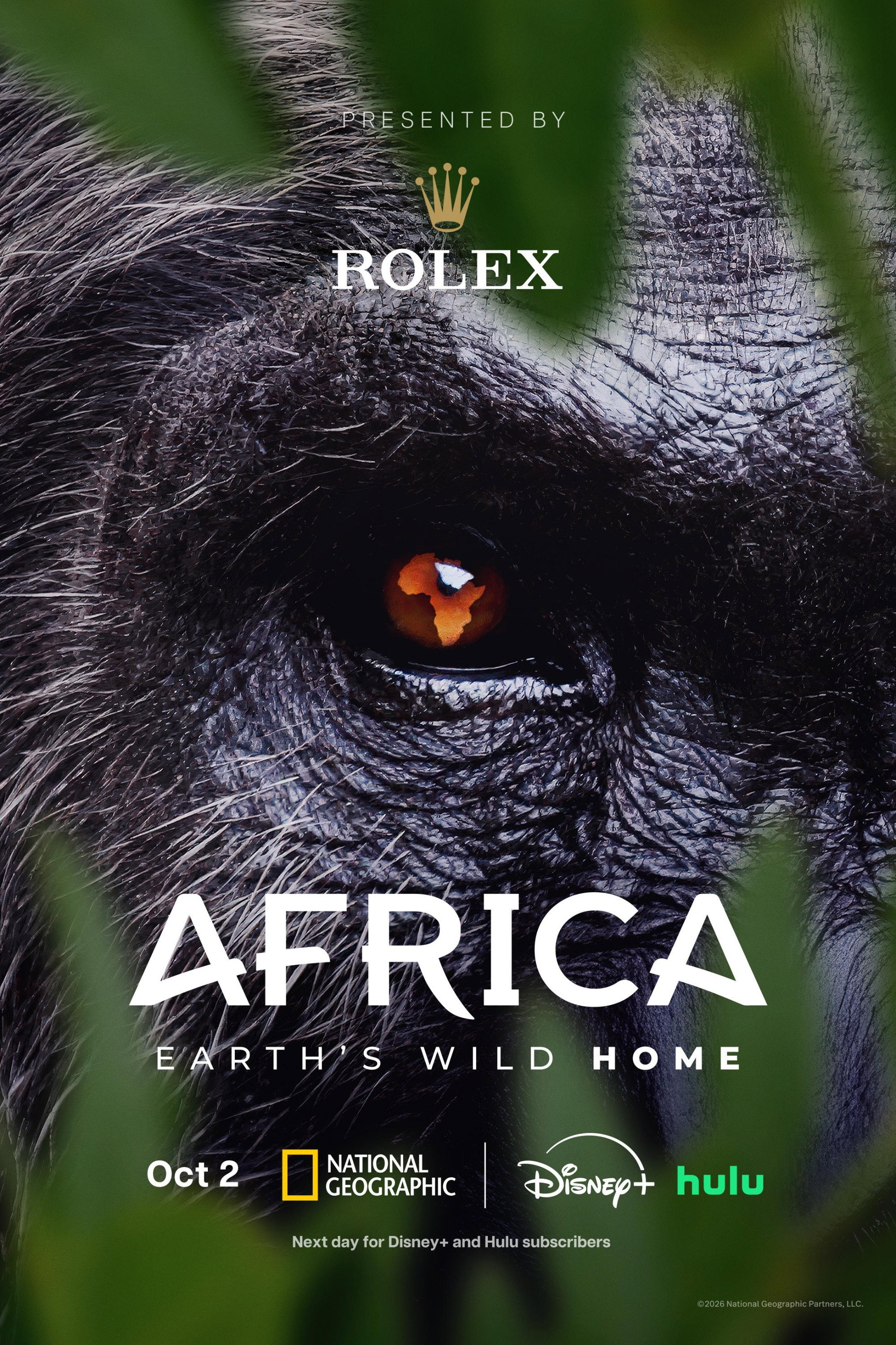 Africa Earth's Wild Home Poster