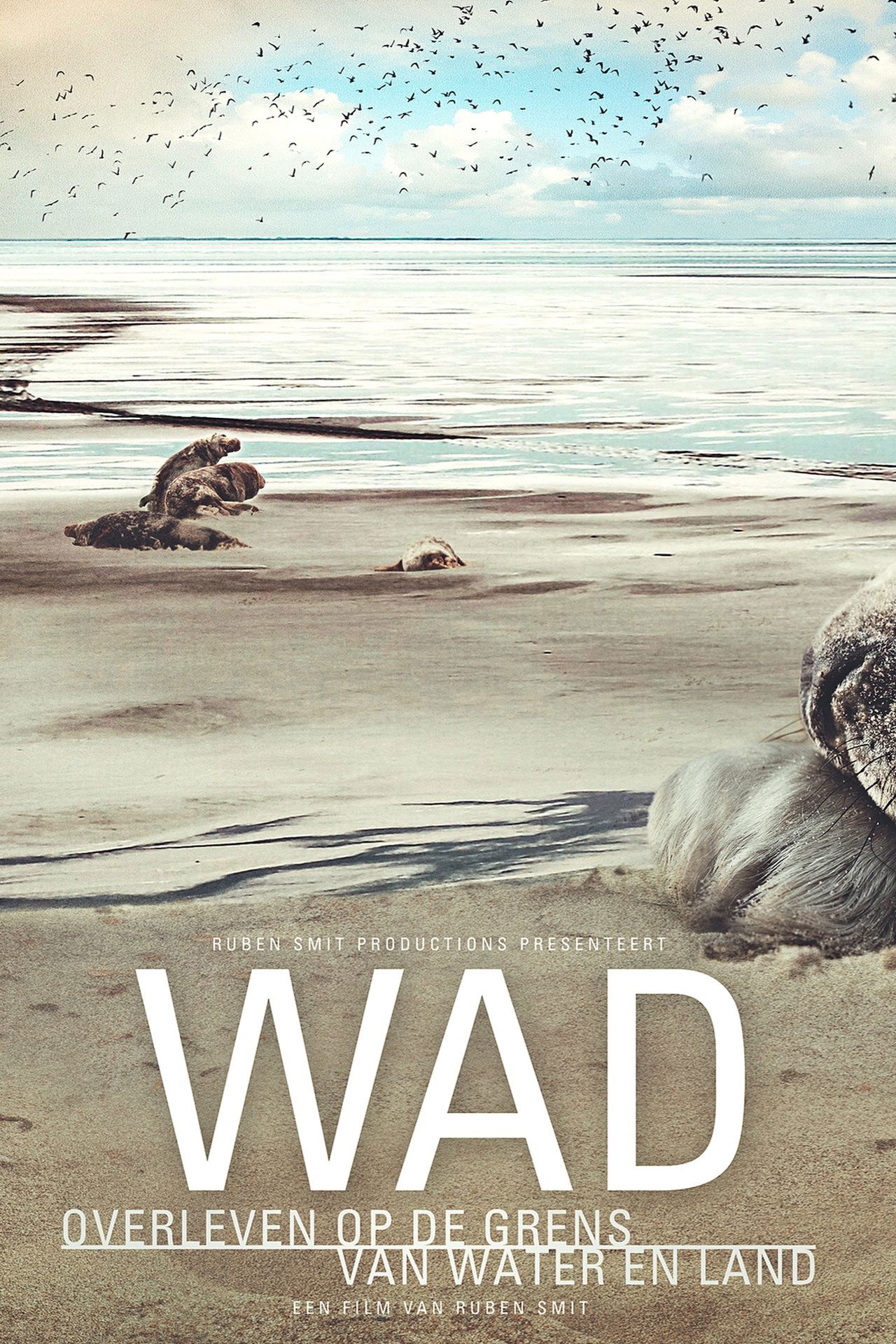 The Wadden Sea Poster