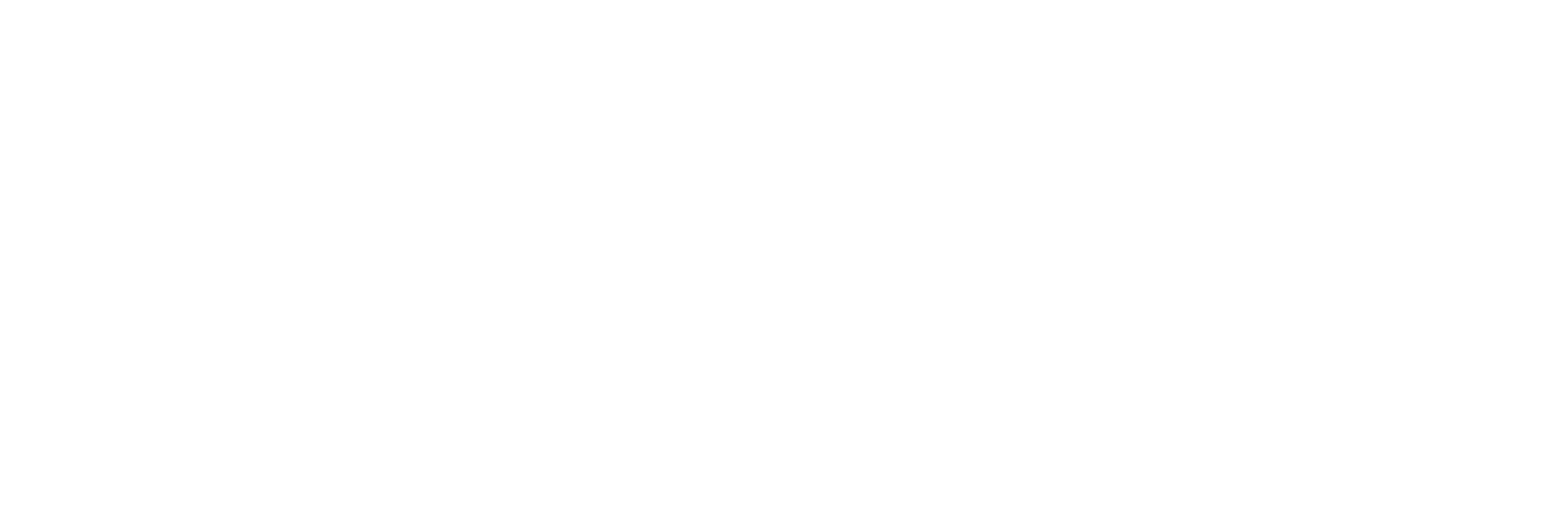 90 Day Fiancé: Before the 90 Days Logo