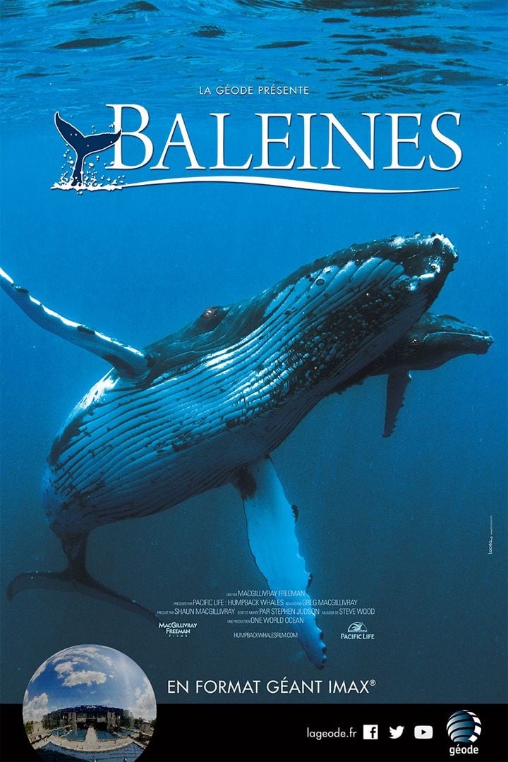 Affiche du film Baleines 1098