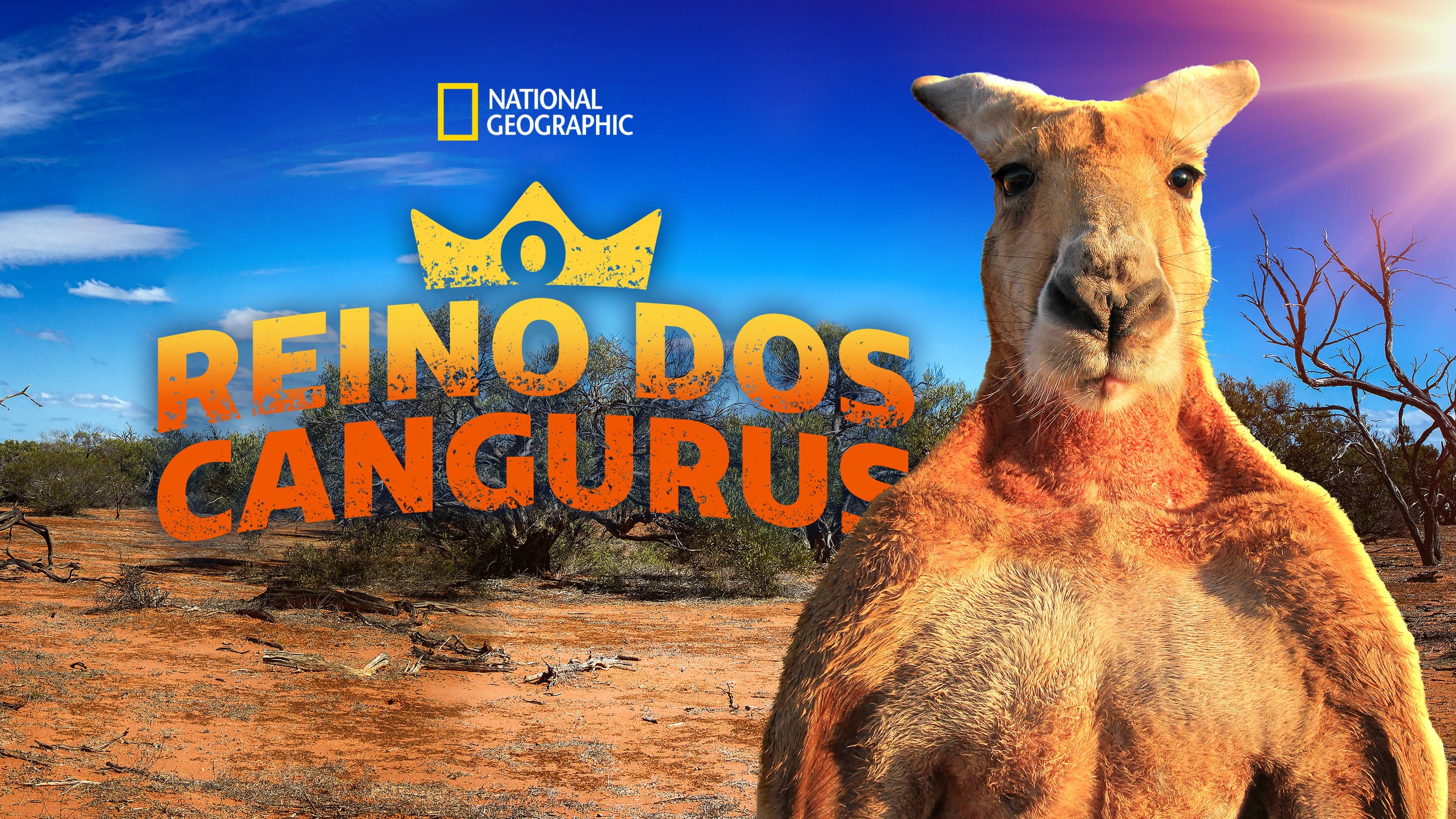 The Kangaroo King