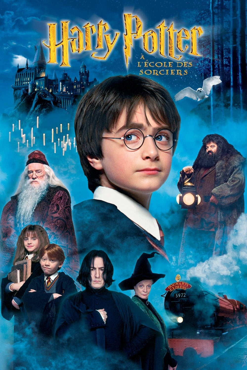Affiche du film Harry Potter à l'école des sorciers (version longue) 136216