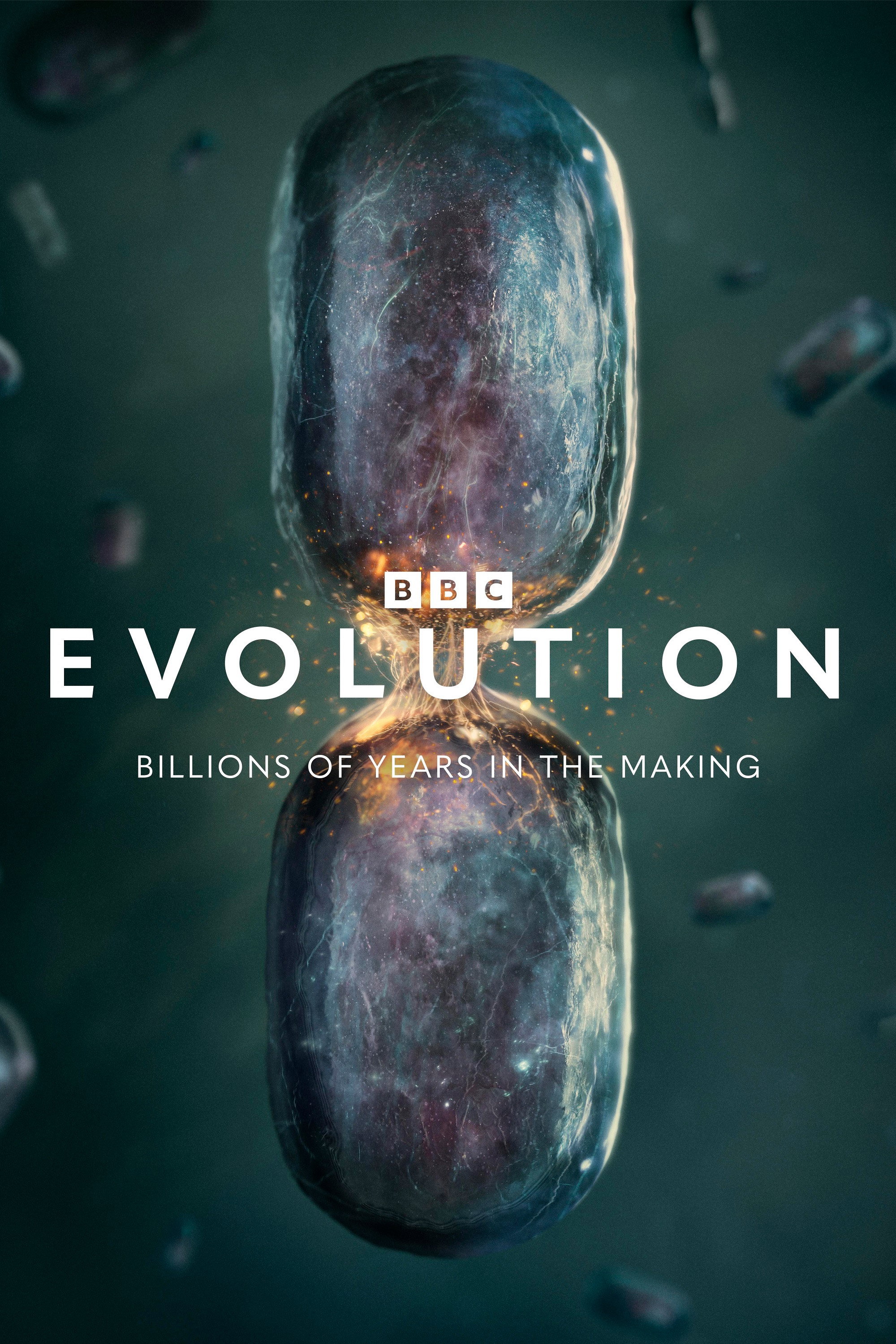 Evolution - Season 1