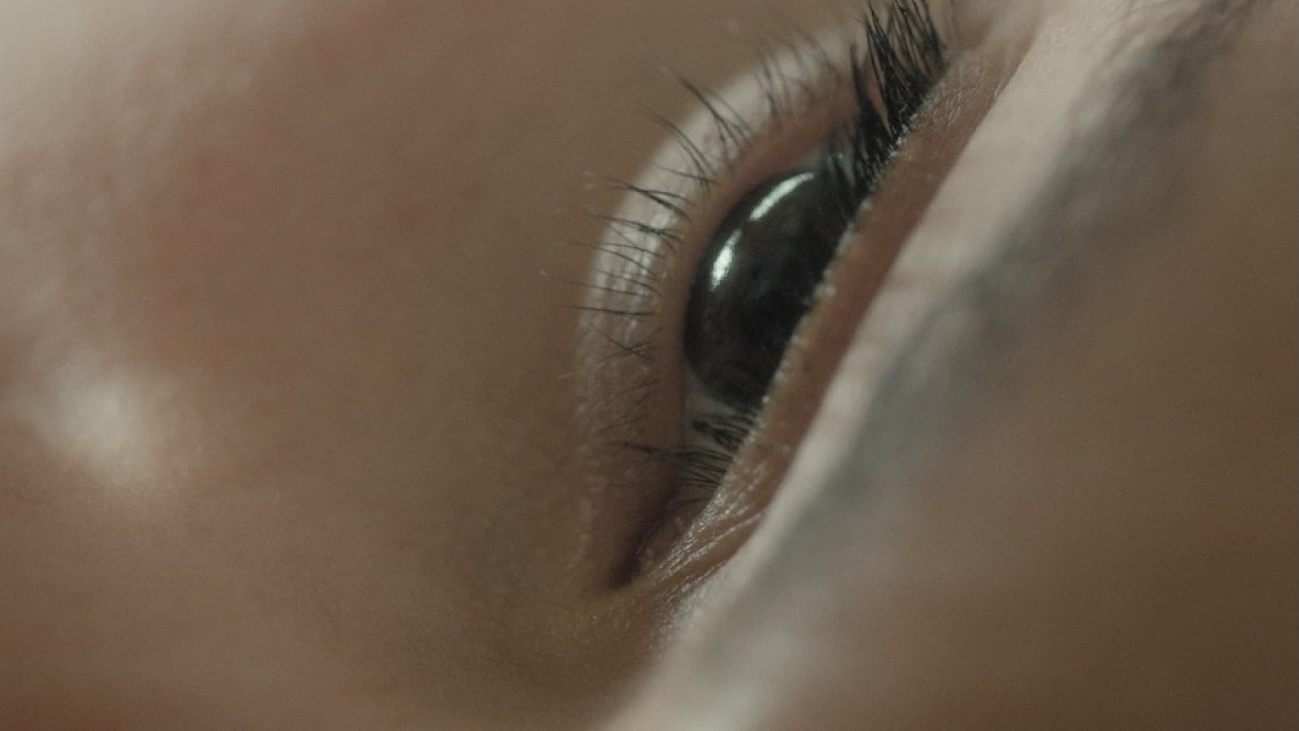 Reprise (2022)