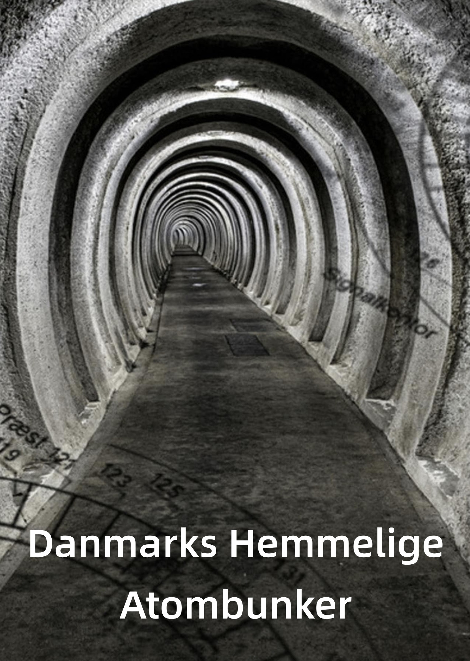 Danmarks hemmelige atombunker