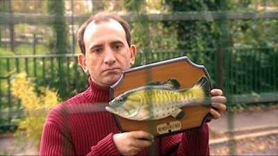 The Armando Iannucci Shows