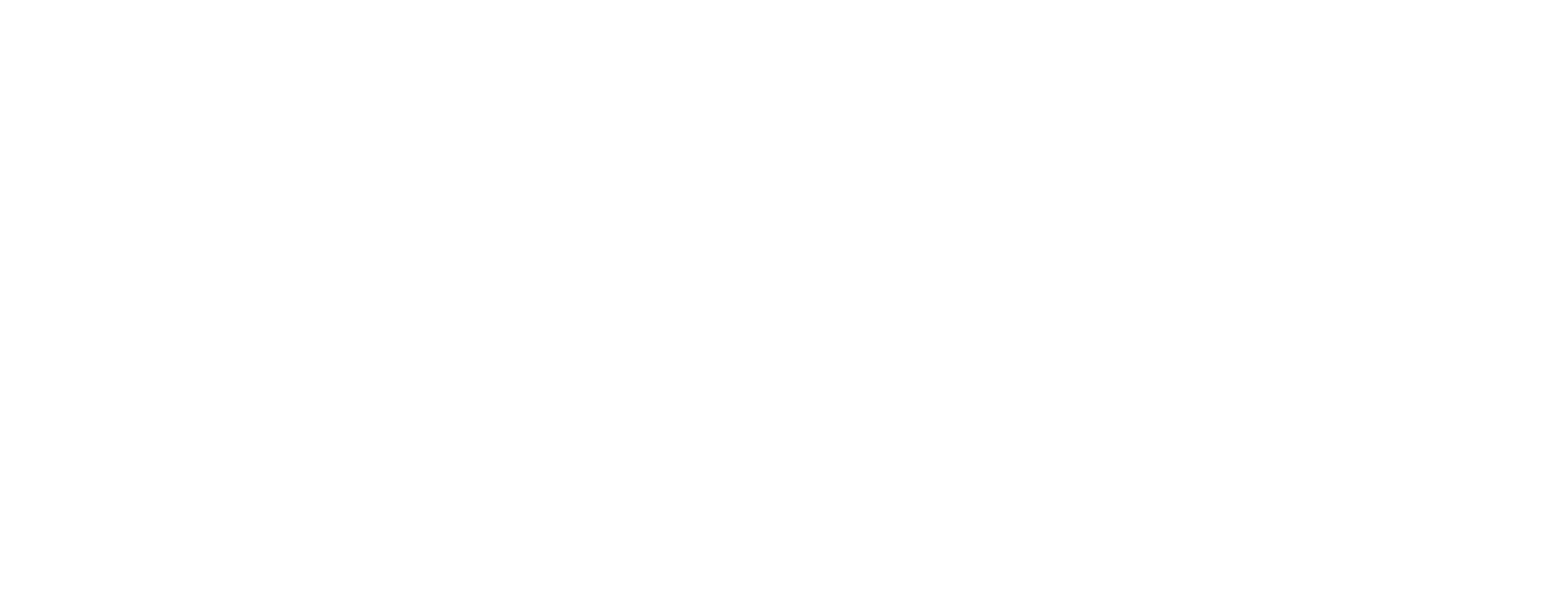 Chiến Binh Trên Không Logo