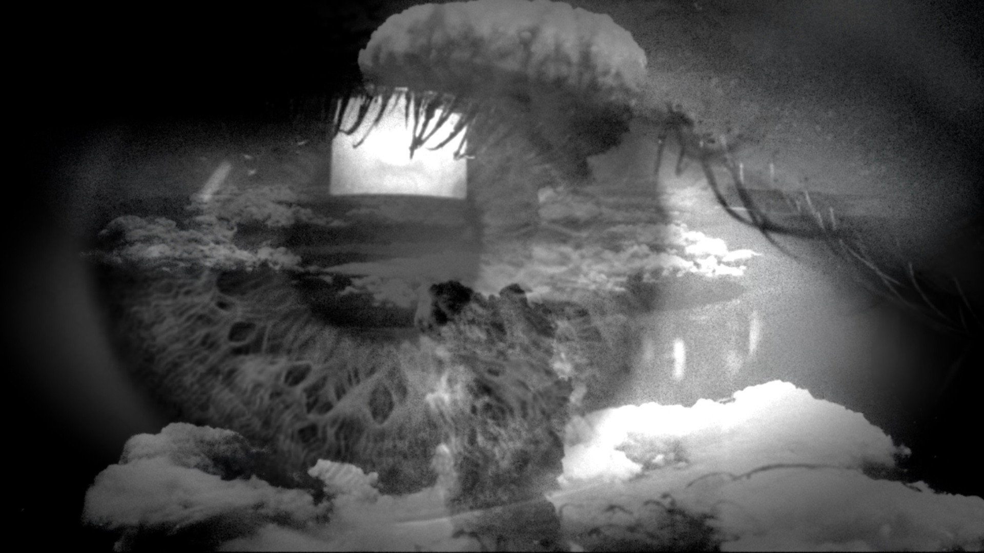 Purgatory for Epiphanea