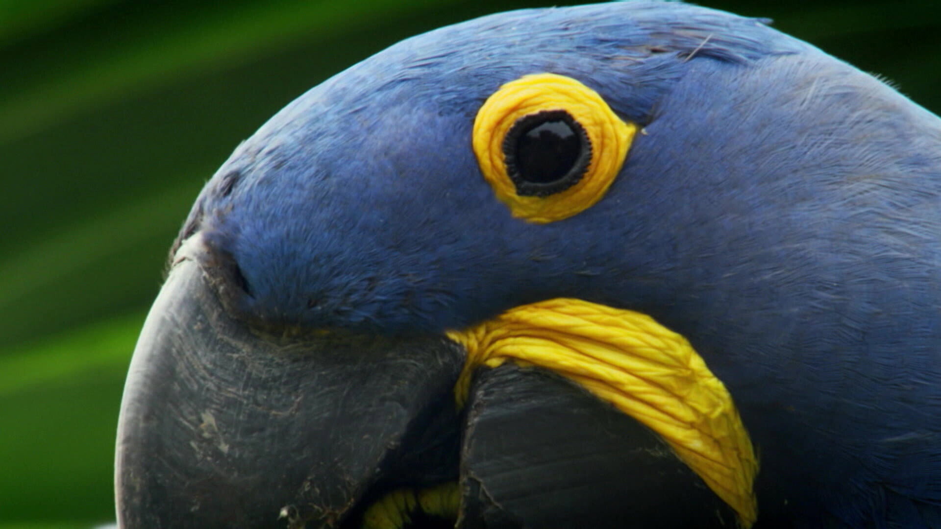 Earth Odyssey with Dylan Dreyer S03E28 backdrop