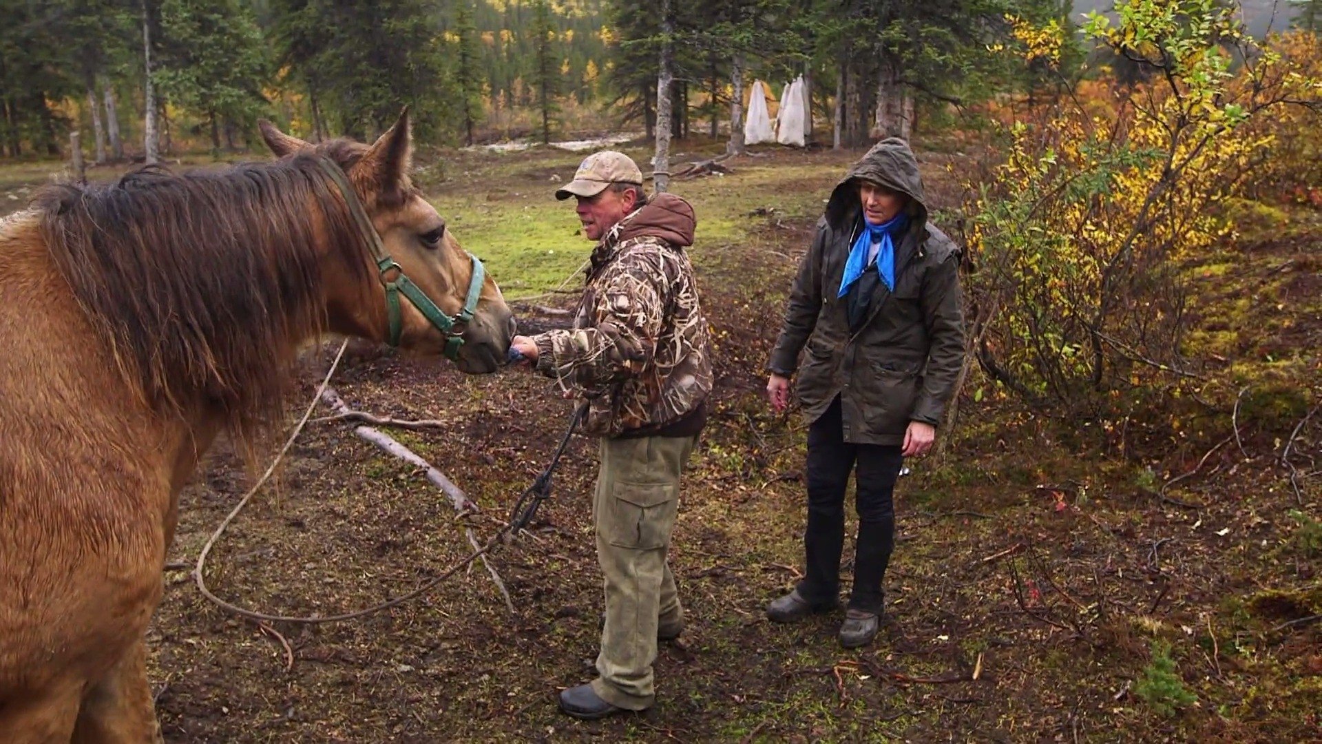 Dr. Dee: Alaska Vet - Épisode 7
