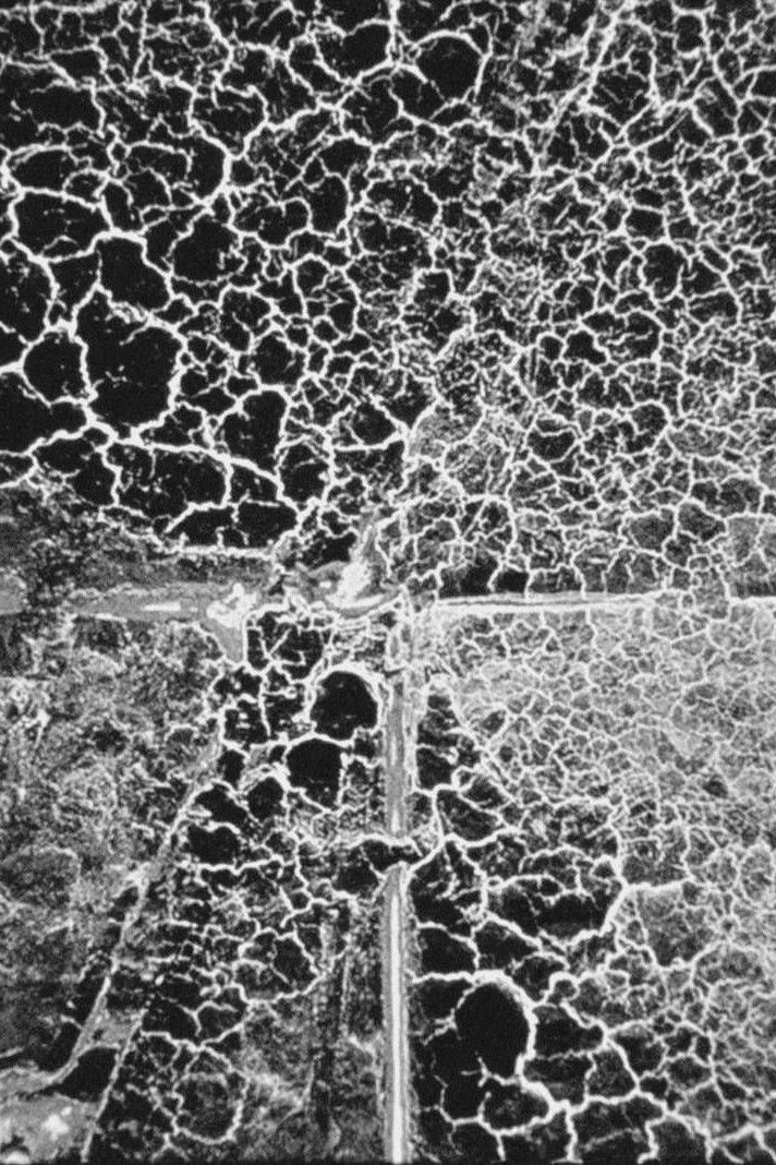 The Desert Forgotten