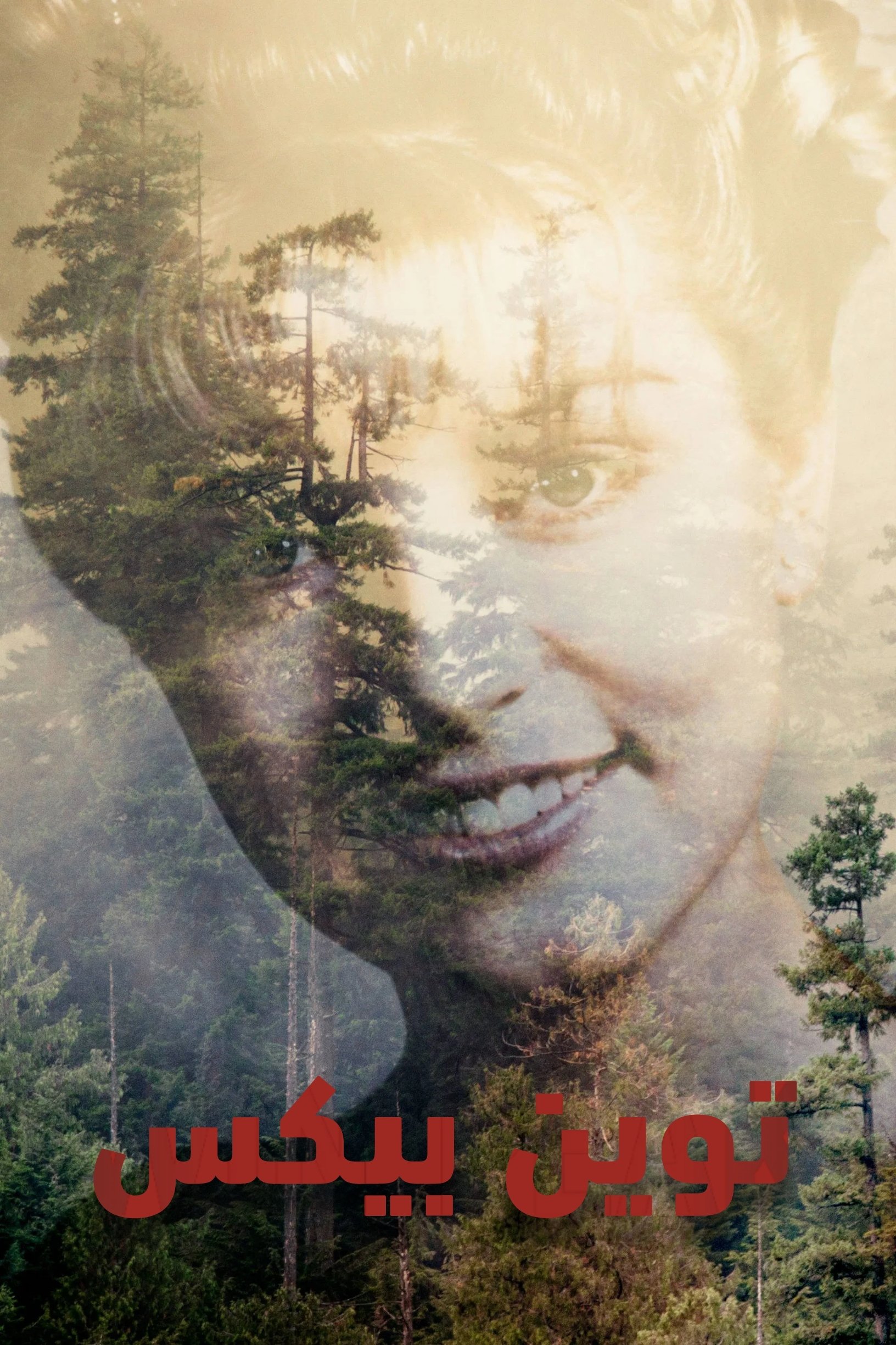 Twin Peaks