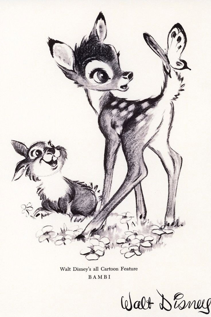Bambi